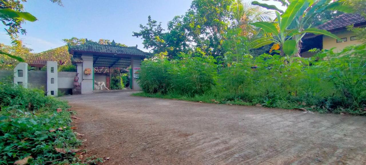 Tunjung Guest House Lovina Beach Buleleng  Bagian luar foto